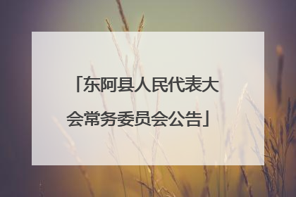 东阿县人民代表大会常务委员会公告
