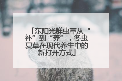 东阳光鲜虫草从“补”到“养”，冬虫夏草在现代养生中的新打开方式