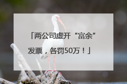 两公司虚开“富余”发票，各罚50万！