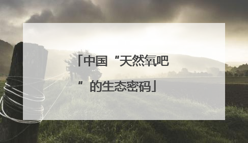 中国“天然氧吧”的生态密码