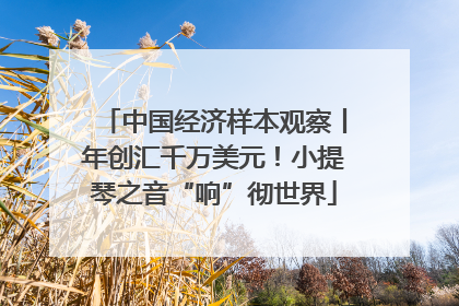 中国经济样本观察丨年创汇千万美元！小提琴之音“响”彻世界