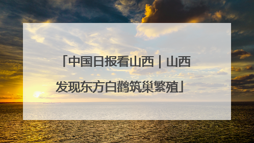 中国日报看山西｜山西发现东方白鹳筑巢繁殖