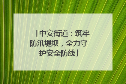 中安街道：筑牢防汛堤坝，全力守护安全防线