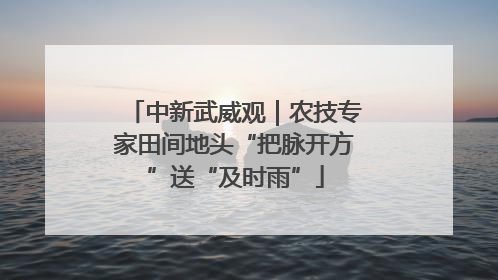 中新武威观｜农技专家田间地头“把脉开方”送“及时雨”
