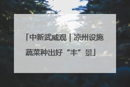 中新武威观｜凉州设施蔬菜种出好“丰”景
