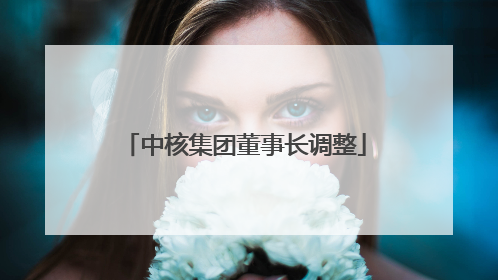中核集团董事长调整