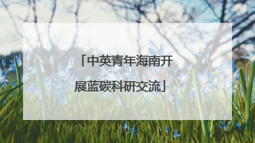 中英青年海南开展蓝碳科研交流