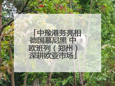 中豫港务亮相德国慕尼黑 中欧班列（郑州）深耕欧亚市场