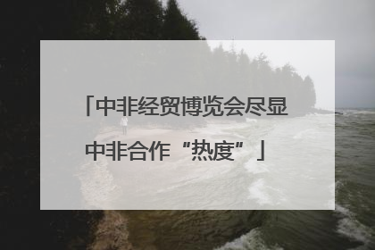 中非经贸博览会尽显中非合作“热度”