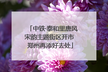 中铁·泰和里唐风宋韵主题街区开市 郑州再添好去处