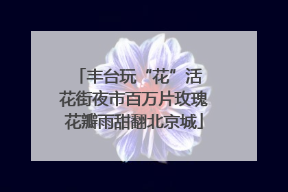 丰台玩“花”活 花街夜市百万片玫瑰花瓣雨甜翻北京城