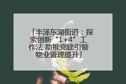 丰泽东湖街道：探索创新“1+4”工作法 助推党建引领物业管理提升