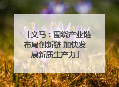义马：围绕产业链布局创新链 加快发展新质生产力