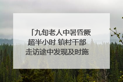 九旬老人中暑昏厥超半小时 镇村干部走访途中发现及时施救｜看见正能量