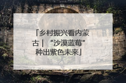 乡村振兴看内蒙古｜“沙漠蓝莓”种出紫色未来