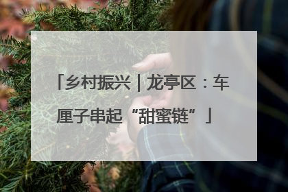 乡村振兴｜龙亭区：车厘子串起“甜蜜链”