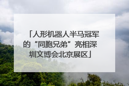 人形机器人半马冠军的“同胞兄弟”亮相深圳文博会北京展区
