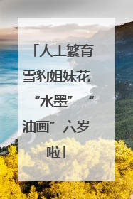 人工繁育雪豹姐妹花“水墨”“油画”六岁啦