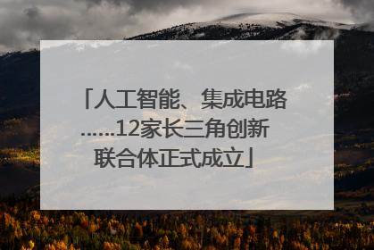 人工智能、集成电路……12家长三角创新联合体正式成立