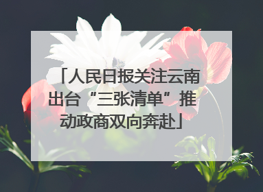 人民日报关注云南出台“三张清单”推动政商双向奔赴