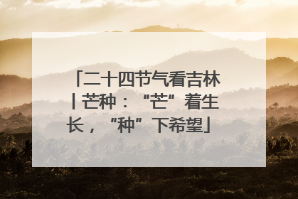 二十四节气看吉林丨芒种：“芒”着生长，“种”下希望