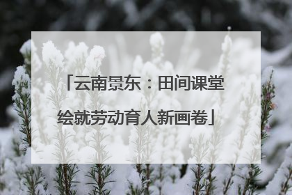云南景东：田间课堂绘就劳动育人新画卷