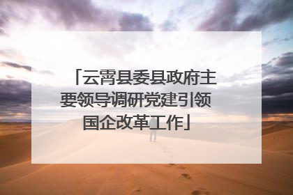 云霄县委县政府主要领导调研党建引领国企改革工作