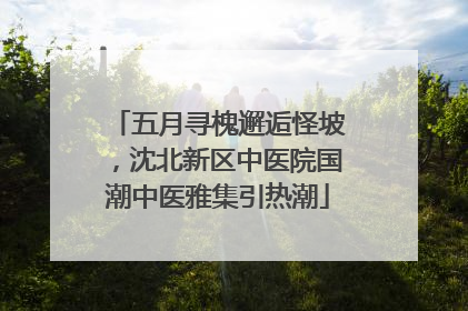 五月寻槐邂逅怪坡，沈北新区中医院国潮中医雅集引热潮