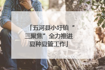 五河县小圩镇“三聚焦”全力推进夏种夏管工作