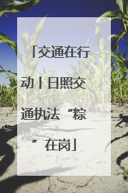 交通在行动丨日照交通执法“粽”在岗