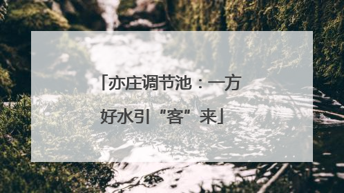 亦庄调节池：一方好水引“客”来