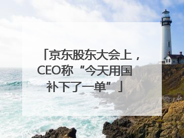 京东股东大会上，CEO称“今天用国补下了一单”