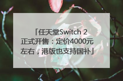 任天堂Switch 2正式开售：定价4000元左右，港版也支持国补
