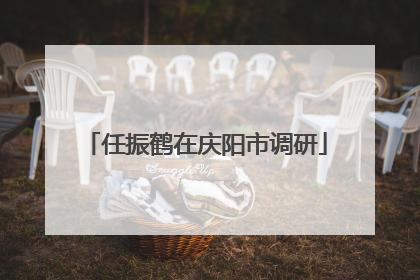 任振鹤在庆阳市调研