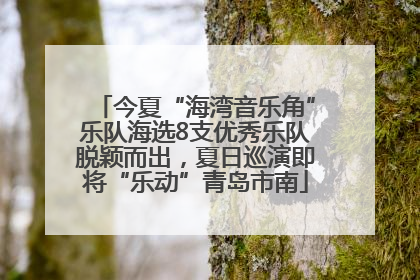 今夏“海湾音乐角”乐队海选8支优秀乐队脱颖而出，夏日巡演即将“乐动”青岛市南