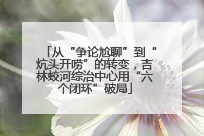 从“争论尬聊”到“炕头开唠”的转变，吉林蛟河综治中心用“六个闭环”破局