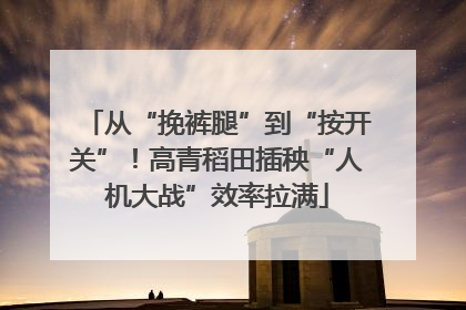 从“挽裤腿”到“按开关”！高青稻田插秧“人机大战”效率拉满