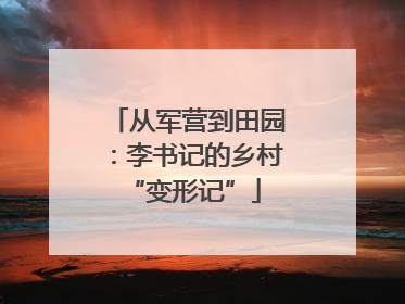 从军营到田园：李书记的乡村 “变形记”