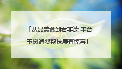 从品美食到看非遗 丰台玉树消费帮扶展有惊喜