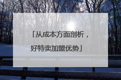 从成本方面剖析，好特卖加盟优势