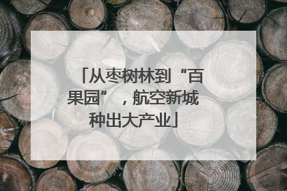 从枣树林到“百果园”，航空新城种出大产业