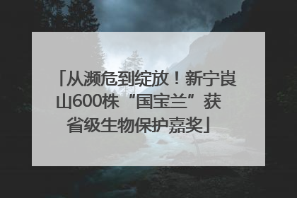 从濒危到绽放！新宁崀山600株“国宝兰”获省级生物保护嘉奖