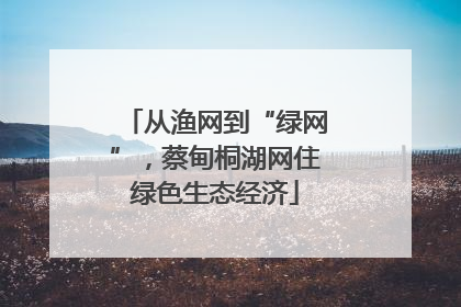 从渔网到“绿网”，蔡甸桐湖网住绿色生态经济