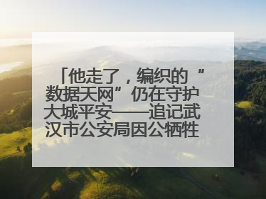 他走了，编织的“数据天网”仍在守护大城平安——追记武汉市公安局因公牺牲民警万松