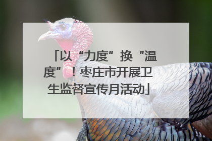 以“力度”换“温度”！枣庄市开展卫生监督宣传月活动