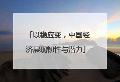 以稳应变，中国经济展现韧性与潜力
