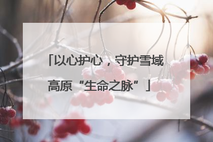 以心护心，守护雪域高原“生命之脉”