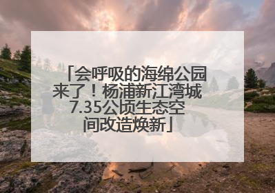 会呼吸的海绵公园来了！杨浦新江湾城7.35公顷生态空间改造焕新