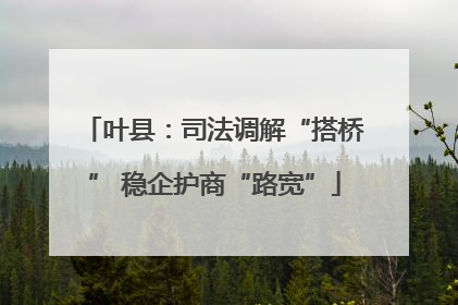 叶县：司法调解“搭桥” 稳企护商“路宽”