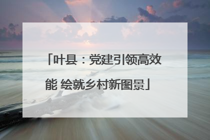 叶县：党建引领高效能 绘就乡村新图景